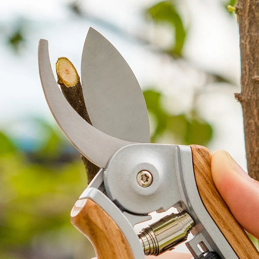 LISM Garden Hedge & Pruning Scissors
