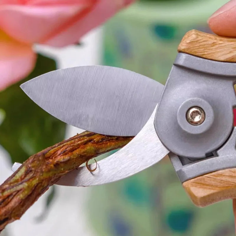 LISM Garden Hedge & Pruning Scissors