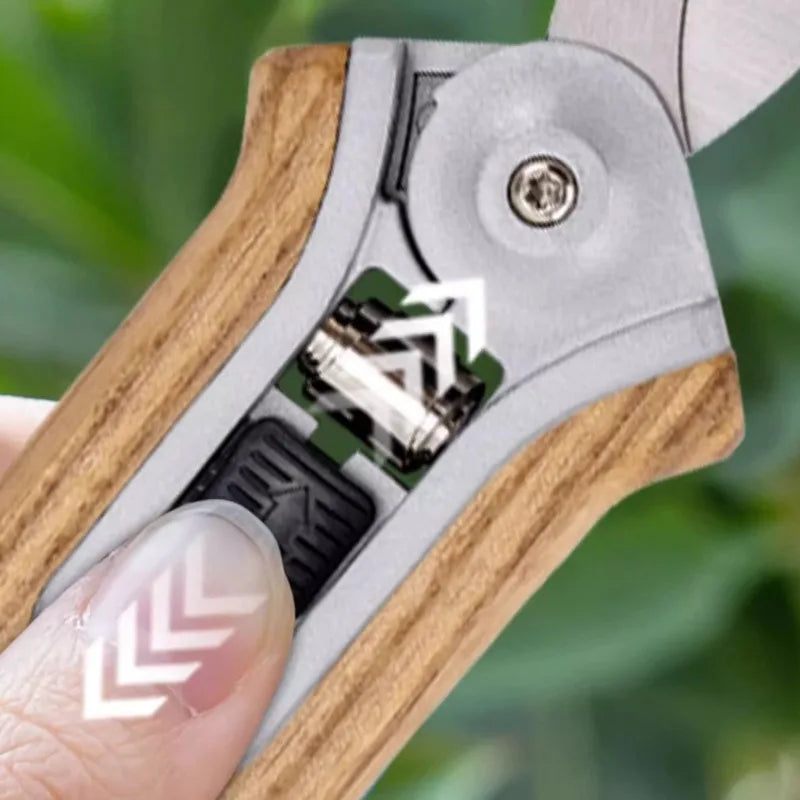 LISM Garden Hedge & Pruning Scissors