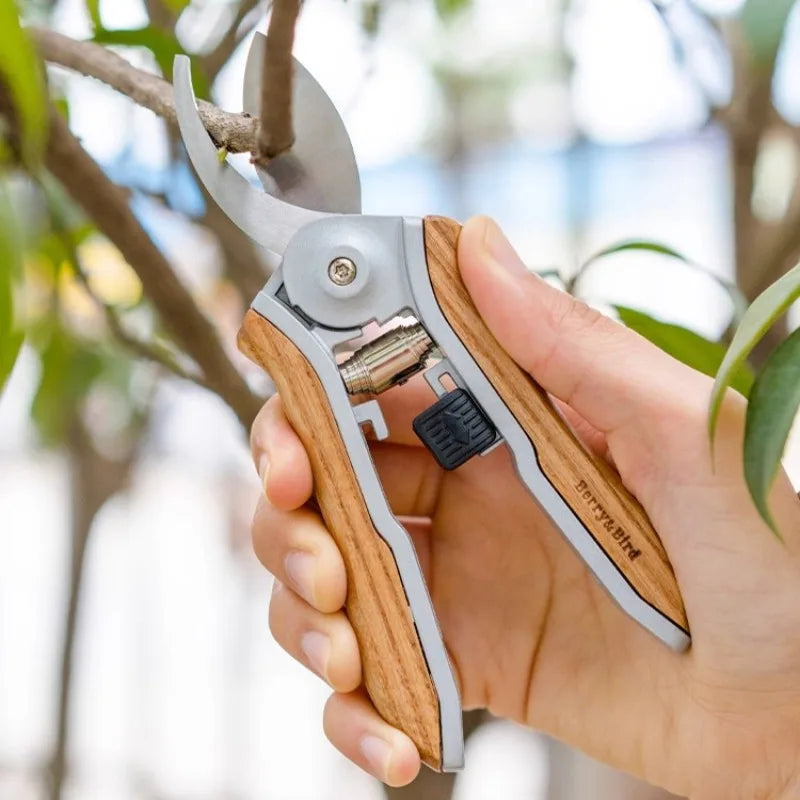 LISM Garden Hedge & Pruning Scissors