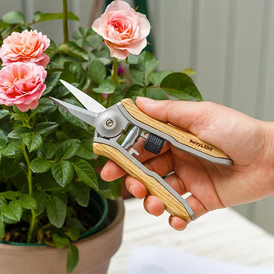 LISM Garden Hedge & Pruning Scissors